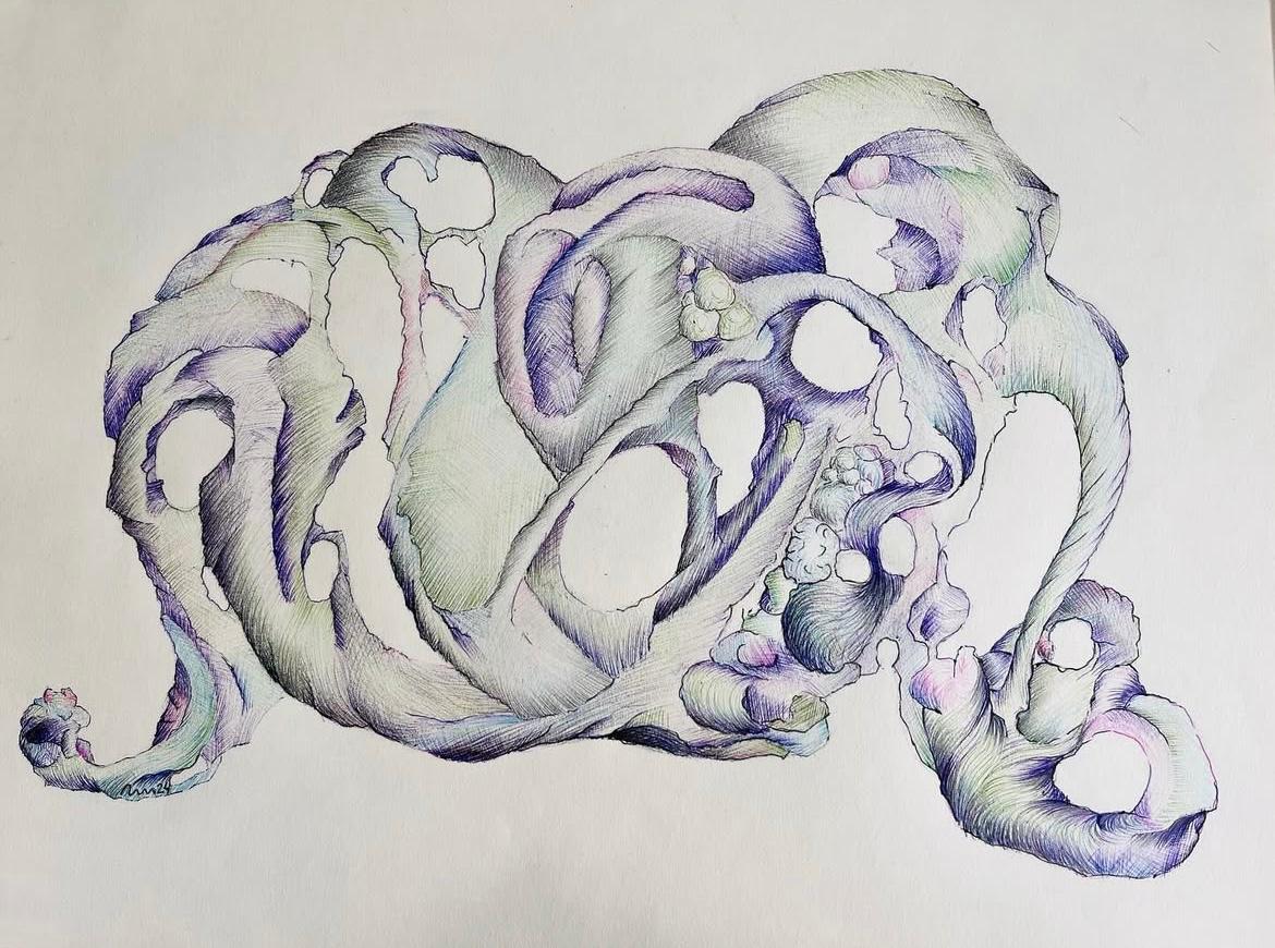 Colors bojos I — Tècnica mixta tinta i grafit